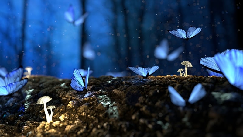 Enchanted landscapes